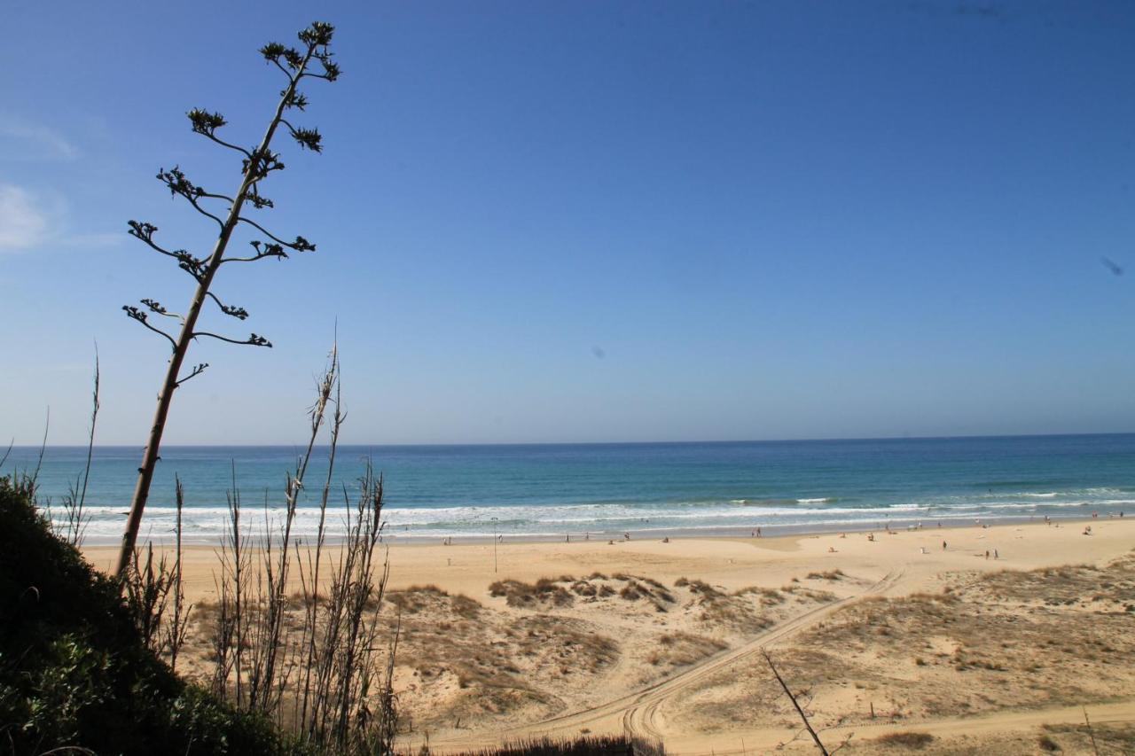 Estudio En El Centro De Conil Conil De La Frontera Esterno foto